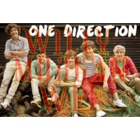 One Direction 1